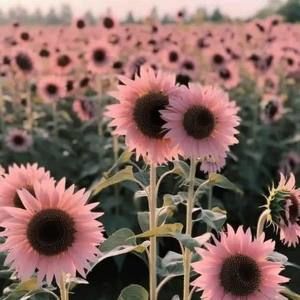 Meet your Posher, Annette